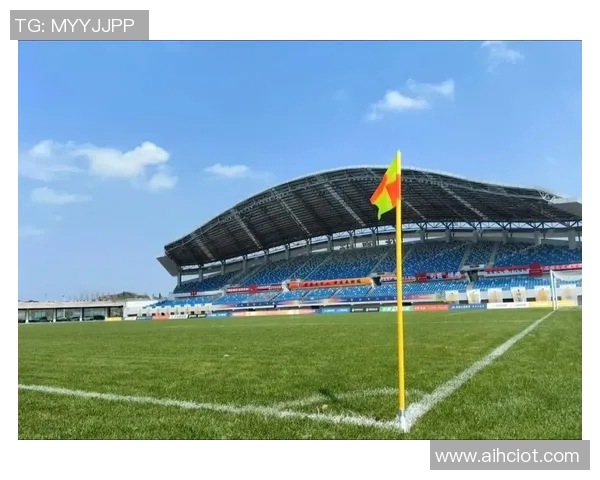 中甲联赛庐山足球比赛精彩直播视频回顾与分析